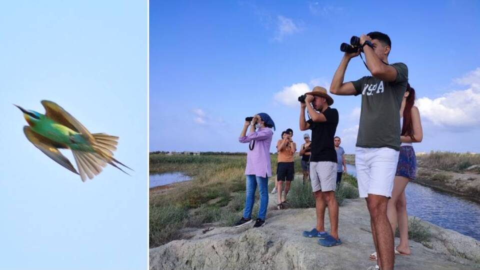 O ilde 31 yıl sonra görüldü