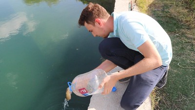 200 balığı ölümden kurtardı!