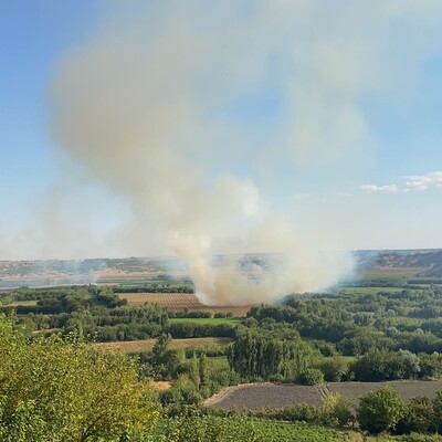 Dünya mirası bahçede korkutan yangın!