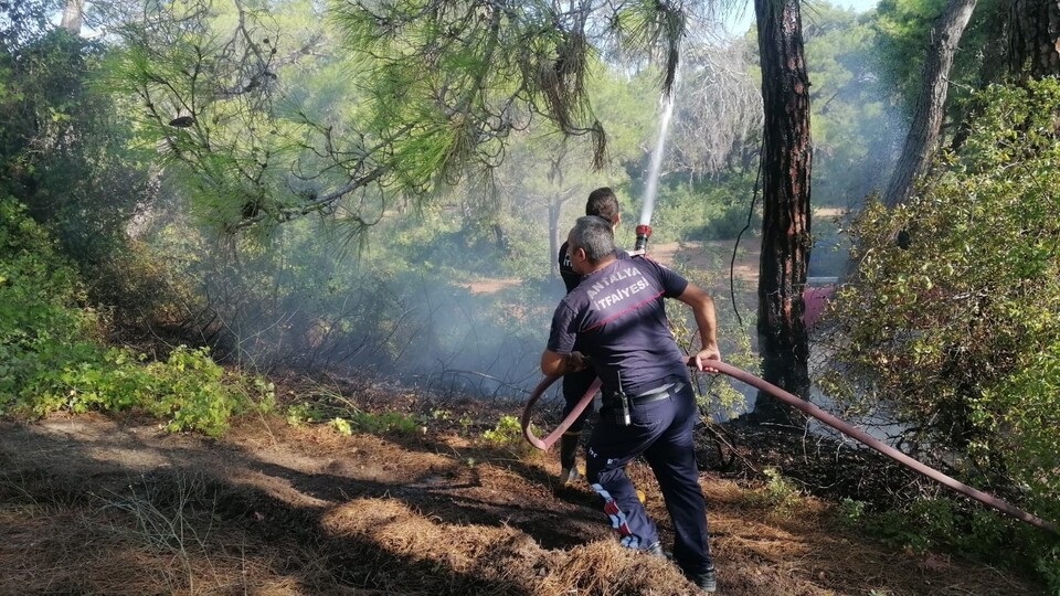 Ormanı yakan zanlıdan şoke eden sözler!