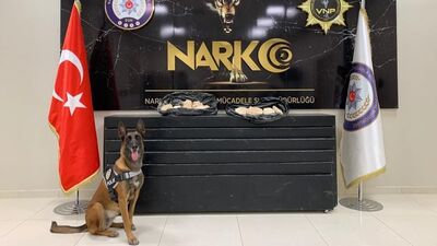 Van'da 223 kilo uyuşturucu ele geçti