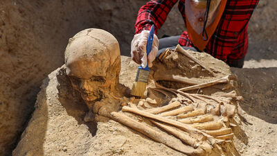 Van'da keşfedildi... "Daha önce karşılaşmadık"