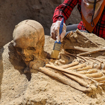 Van'da keşfedildi... "Daha önce karşılaşmadık"