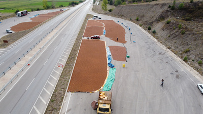 Fındık kurutmak için 200 km güneye gittiler