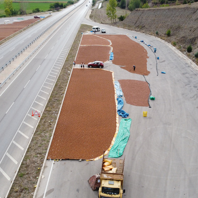 Fındık kurutmak için 200 km güneye gittiler