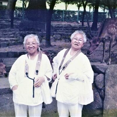 İkizlerin yaşları şaşkına çevirdi... Guinness'e girdiler