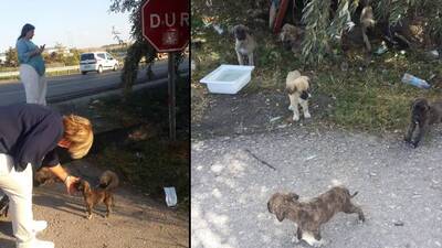 Korkulan oldu, 20'si ezildi! Başkandan açıklama