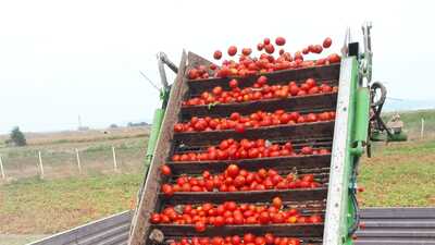 Dijital tarıma 11 milyon TL yatıracak