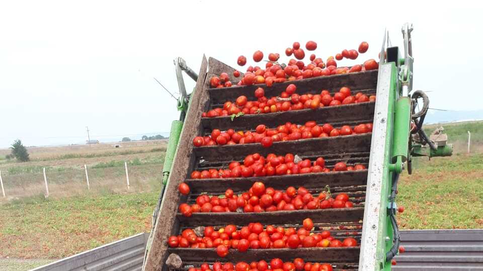 Dijital tarıma 11 milyon TL yatıracak