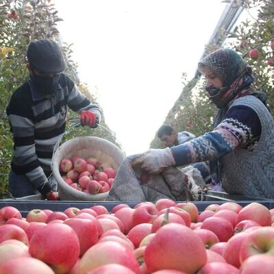 Dalında 1.5 lira, 3 km ilerideki markette 6 lira