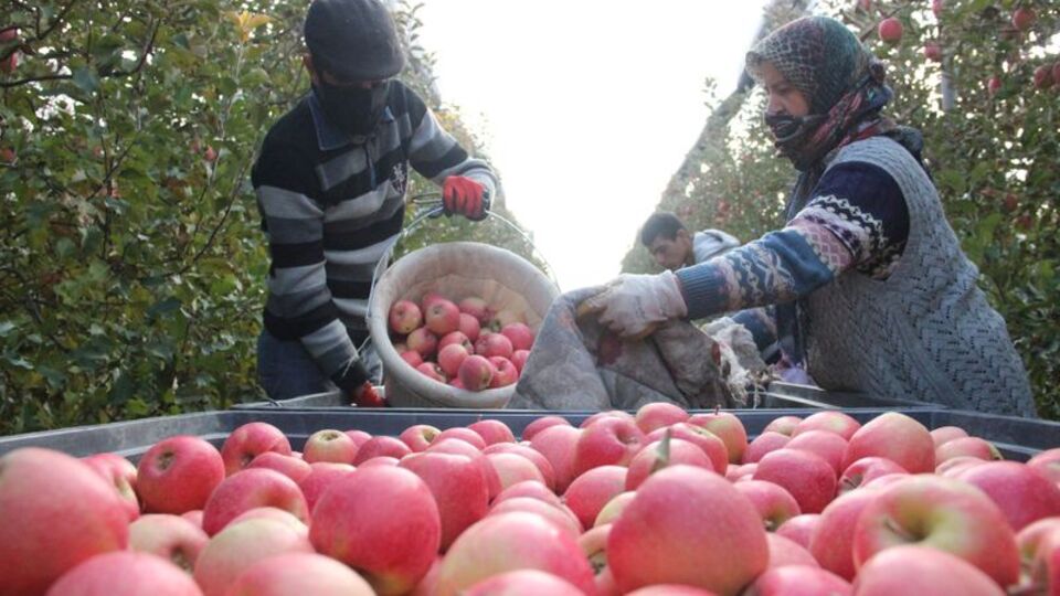 Dalında 1.5 lira, 3 km ilerideki markette 6 lira