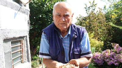 Herkes olmaz dedi! Eskişehir'de yetiştirdi!