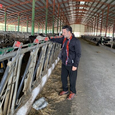 Süt fiyatları neden artıyor?