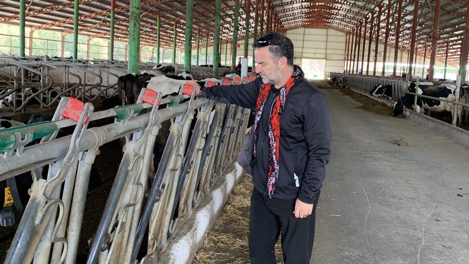 Süt fiyatları neden artıyor?