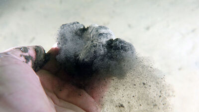 Yeniden mi? Prof. Kutoğlu'ndan müsilaj uyarısı