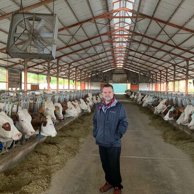 Sütteki fiyat artışının sorumlusu