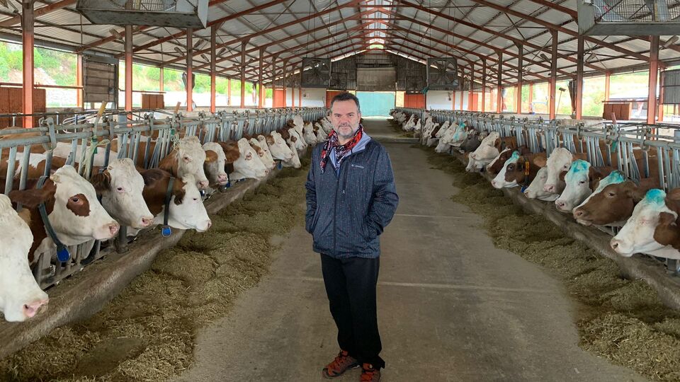 Sütteki fiyat artışının sorumlusu