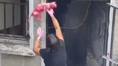 Şok! Şişli'de ölü kediyi boyayıp pencereye astı!