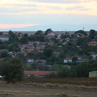 Edirne’de kırmızı alarm! 8 köyde ‘mavi dil’ karantinası!