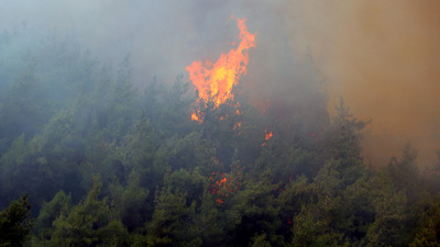 YPG/PKK'lı teröristten korkunç itiraf!