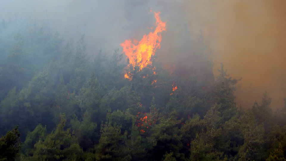 YPG/PKK'lı teröristten korkunç itiraf!