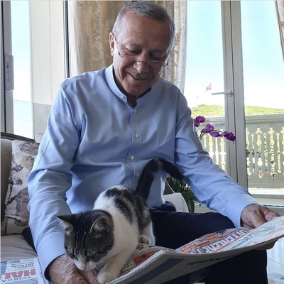 Cumhurbaşkanı Erdoğan paylaştı: Güncel gelişmelere pek meraklı