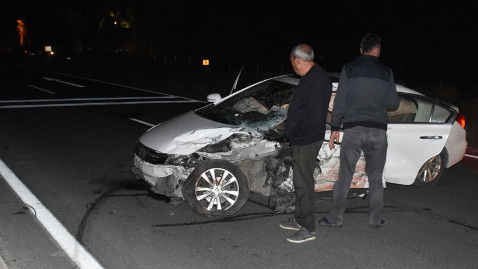 Yola inen domuz sürüsü kazaya neden oldu: 6 yaralı