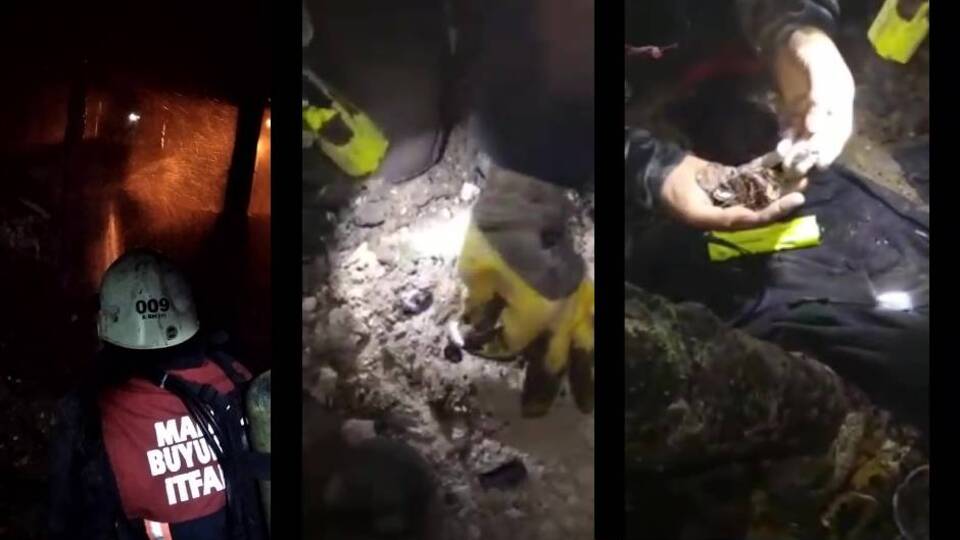 Küllerin arasından bulup, teslim ettiler