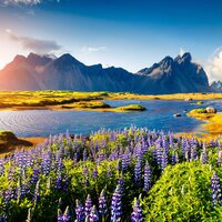 İzlanda: Ateş, buz ve elf diyarı!