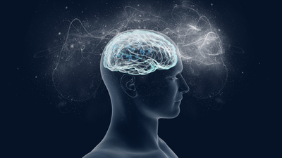 Beynimiz en çok hangi organları yönetiyor?