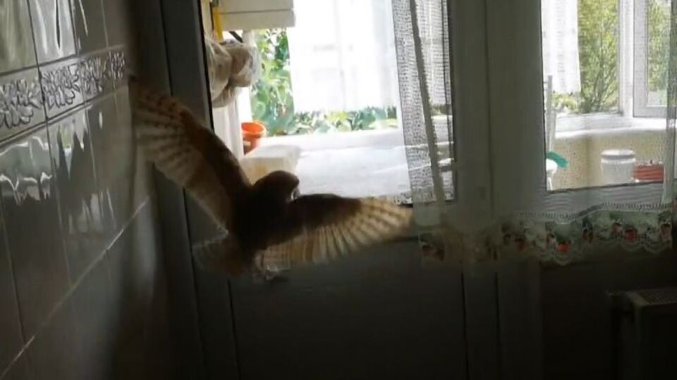 Evin içine girince herkes kaçtı, o kurtardı