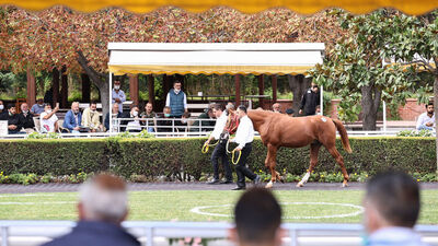 "Cengaver" 680 bin liraya satıldı