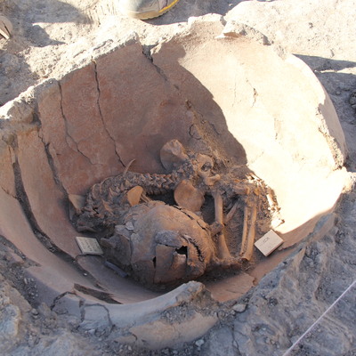 Arslantepe'de büyük keşif... Toprak küplerde bulundu