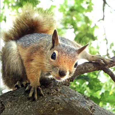 Validebağ'a bir de bu gözle bakın!