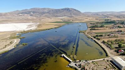 Balıklar ölüyor, kuşlar kaçıyor!