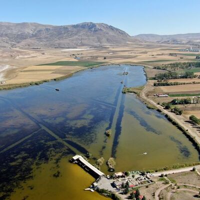 Balıklar ölüyor, kuşlar kaçıyor!