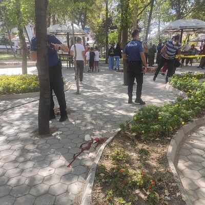 Parktaki cinayetin sebebi şoke etti!