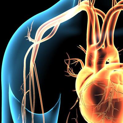 Bu 12 risk faktörüne dikkat! Kalp hastalığına yol açıyorlar