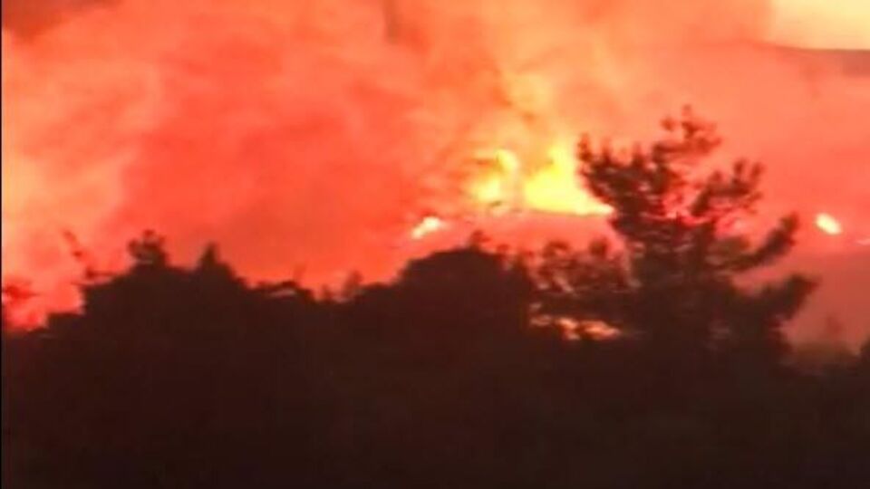 İzmir'de korkutan yangın!
