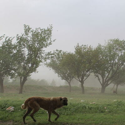 Meteoroloji'den sel, dolu ve fırtına uyarısı!