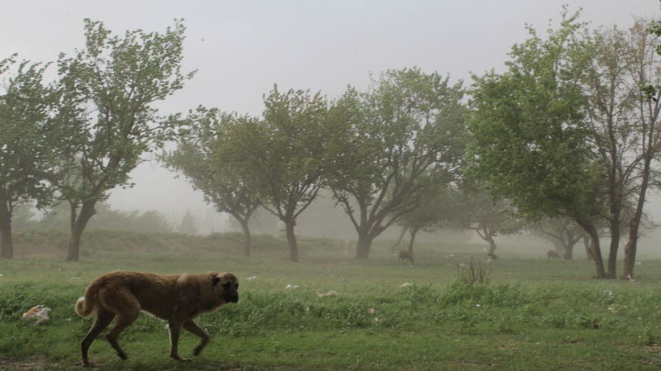 Meteoroloji'den sel, dolu ve fırtına uyarısı!
