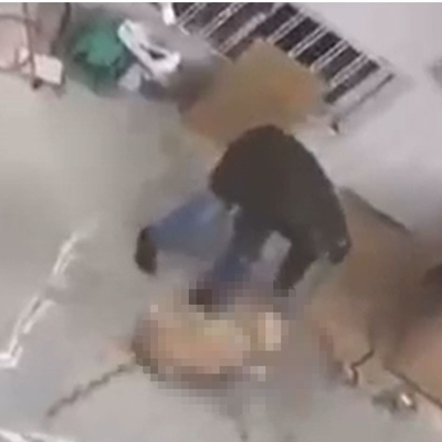 Köpeğine şiddet uygulayan emekli radyoloji uzmanına gözaltı