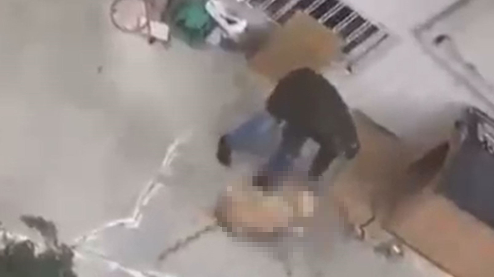 Köpeğine şiddet uygulayan emekli radyoloji uzmanına gözaltı