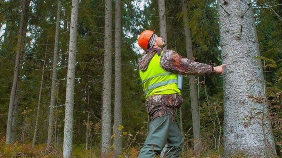 Tarım ve Orman Bakanlığı işçi alımı sonuçları...