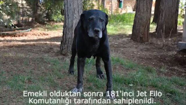 MSB'den 4 Ekim paylaşımı