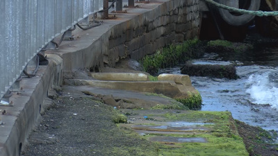 Yanından geçiliyor ama fark edilmiyor! Eminönü İskelesi'nde belirlendi