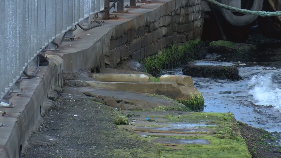 Yanından geçiliyor ama fark edilmiyor! Eminönü İskelesi'nde belirlendi