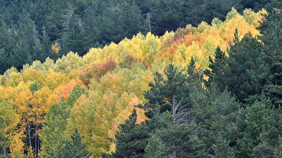 Soğanlı Dağları'nda sonbaharın renkleri