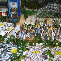 Edirne’ye gelen Bulgarlardan yoğun ilgi