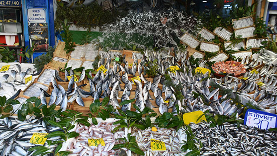 Edirne'ye gelen Bulgarlardan yoğun ilgi
